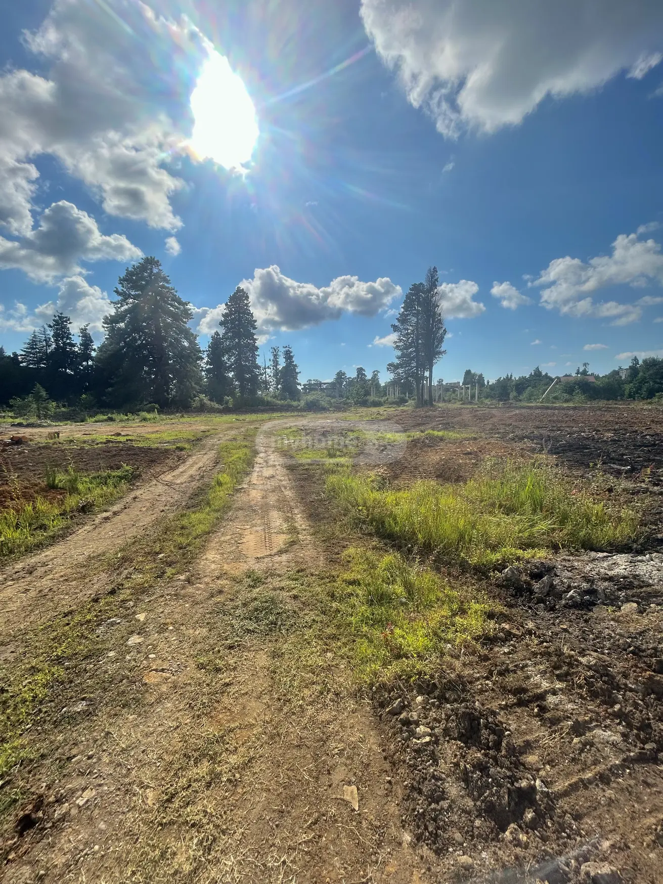 იყიდება Non-Agricultural Plot In Khutsubani, In Kobuleti Municipalityში view 4