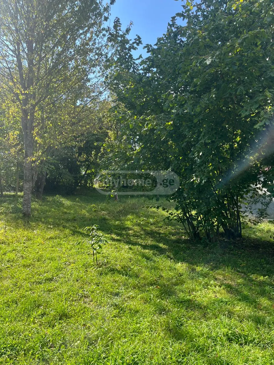 იყიდება Agricultural Plot In Tianeti, In Tianeti Municipalityში view 12
