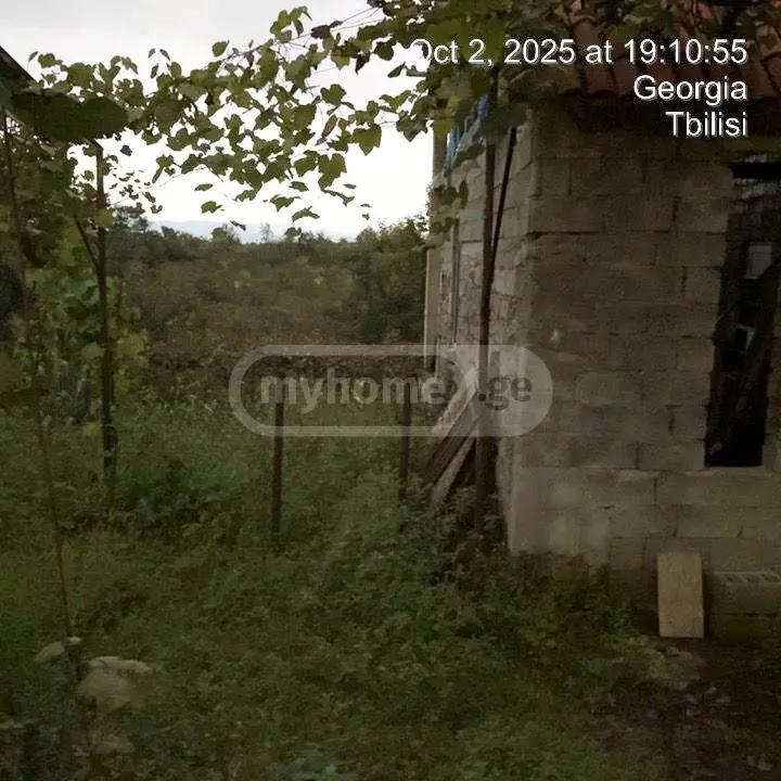 Agricultural Plot For Sale In Ozurgeti view 4