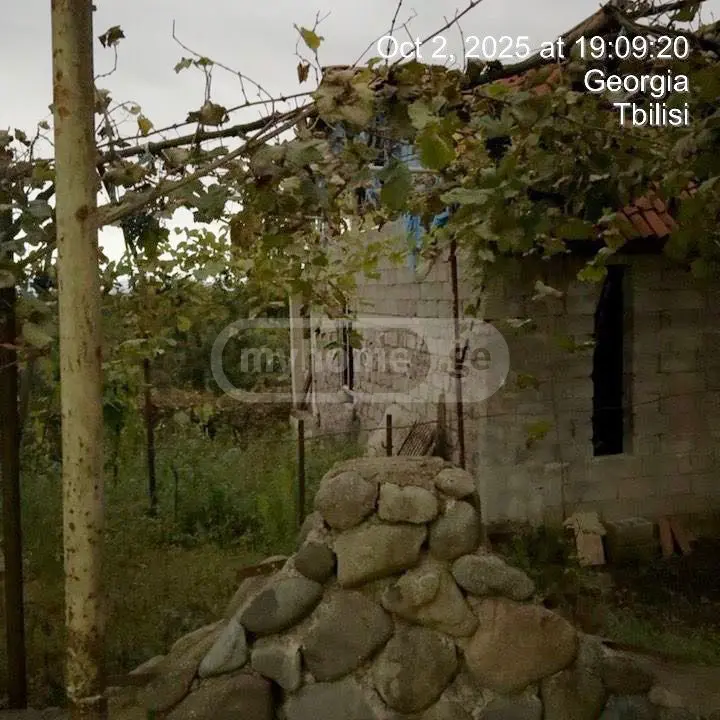 Agricultural Plot For Sale In Ozurgeti view 8