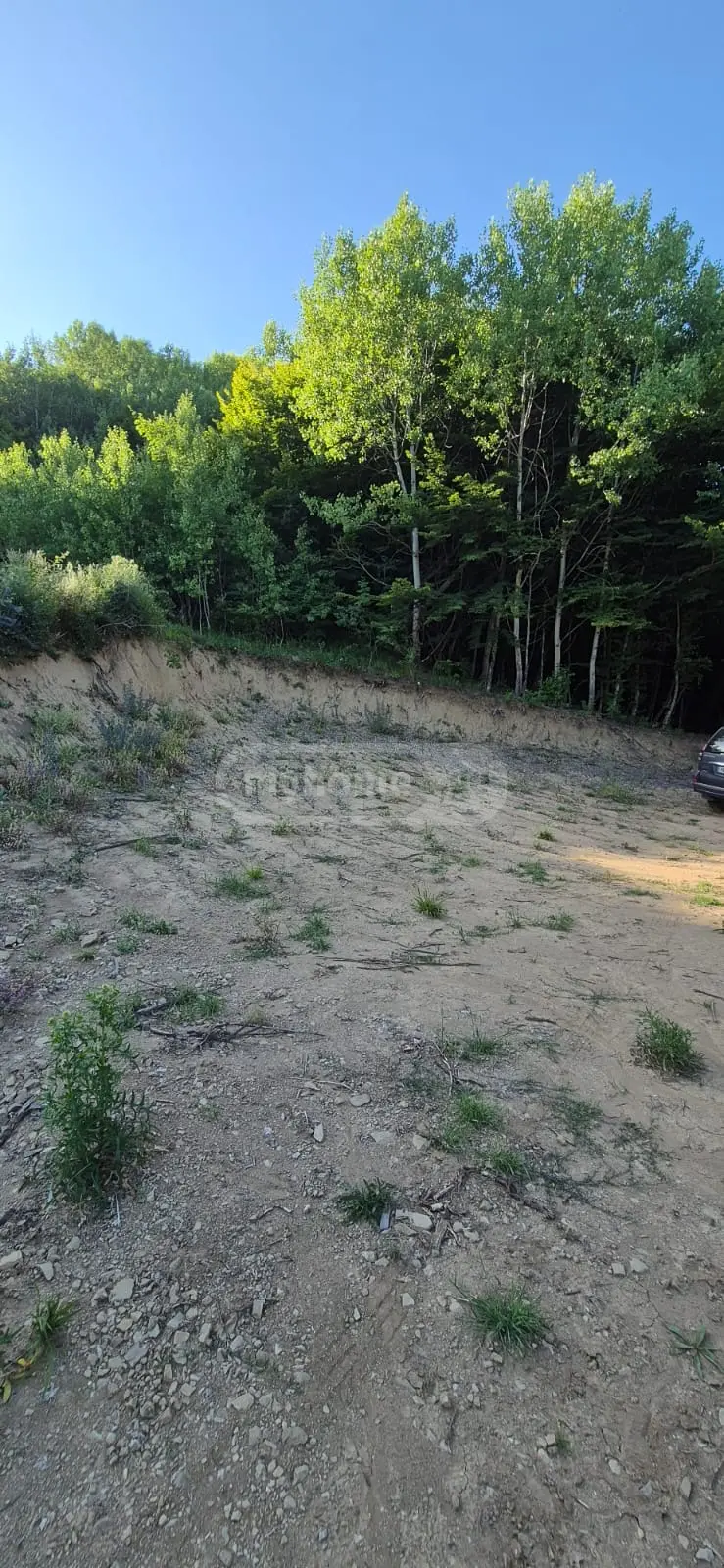 Agricultural Plot For Sale In Bevreti, In Mtskheta Municipality view 1