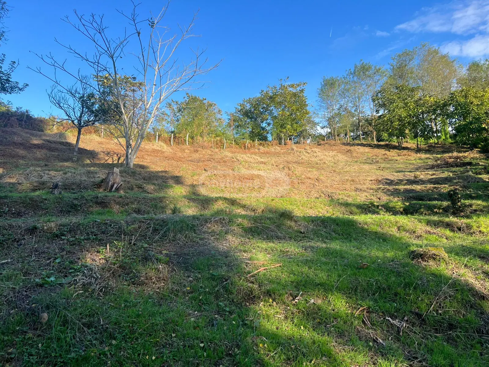 Agricultural Plot For Sale In Makhinjauri, In Batumi view 2