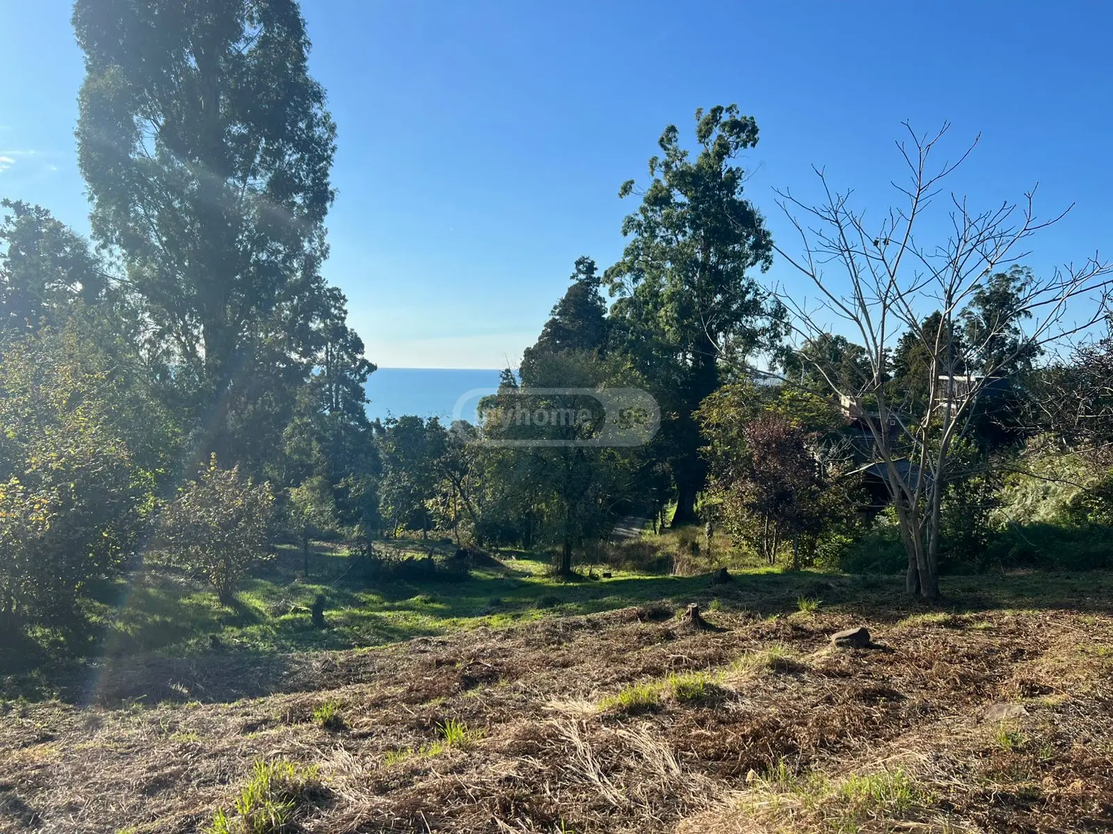 Agricultural Plot For Sale In Makhinjauri, In Batumi view 4