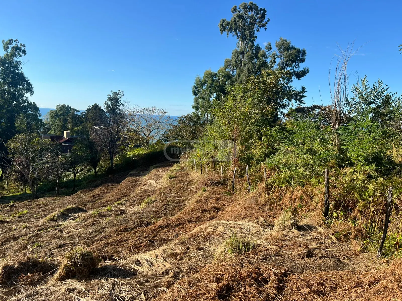 Agricultural Plot For Sale In Makhinjauri, In Batumi view 3