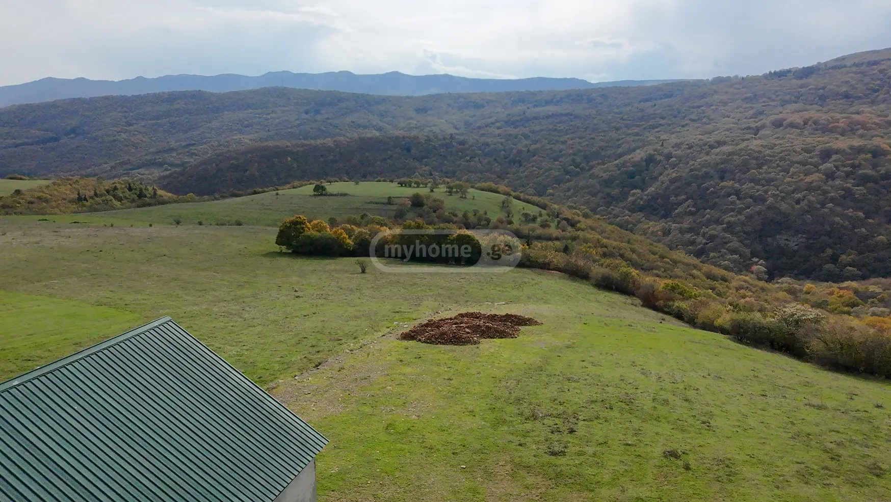 Agricultural Plot For Sale In Manglisi view 5