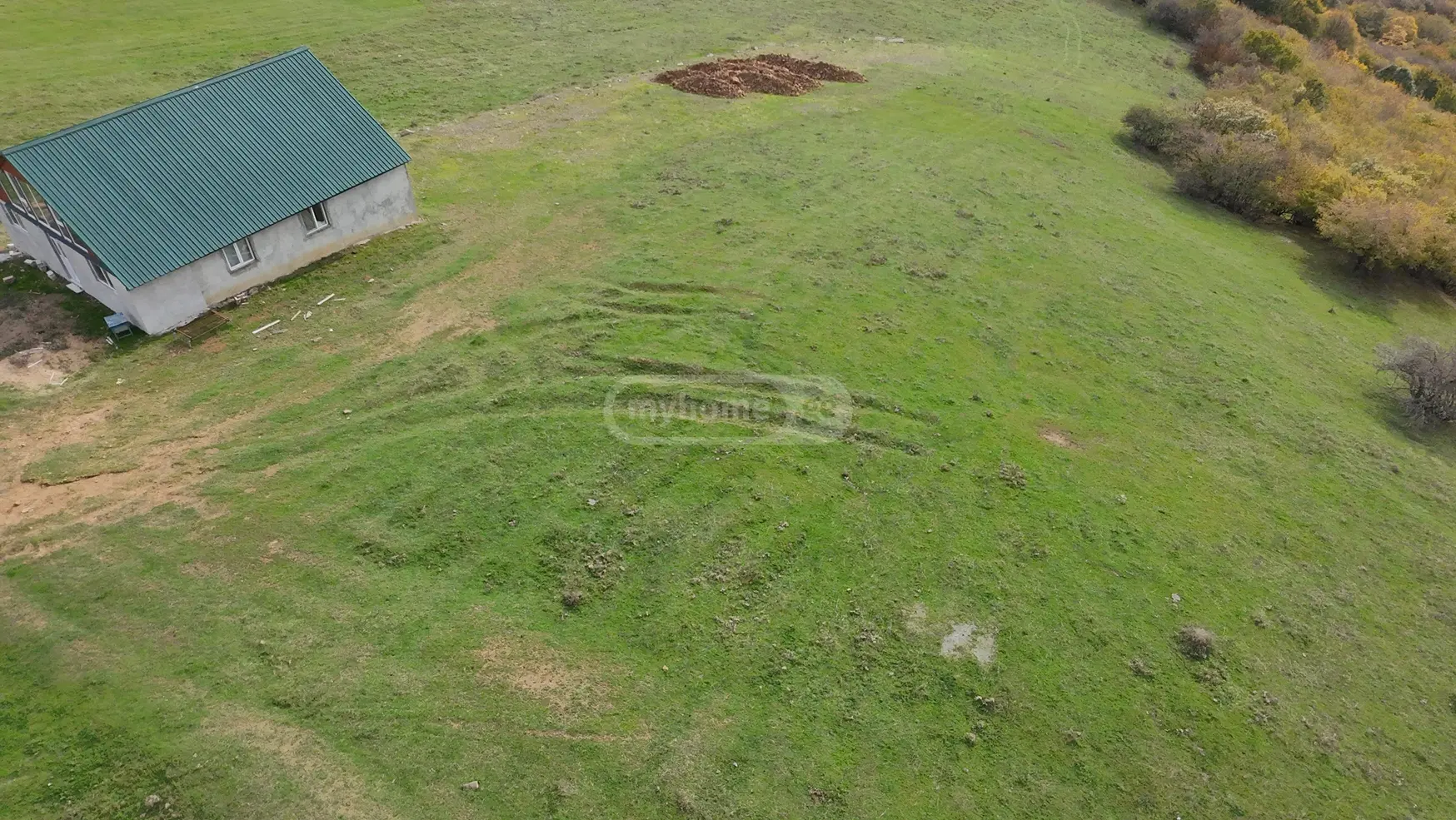 Agricultural Plot For Sale In Manglisi view 8