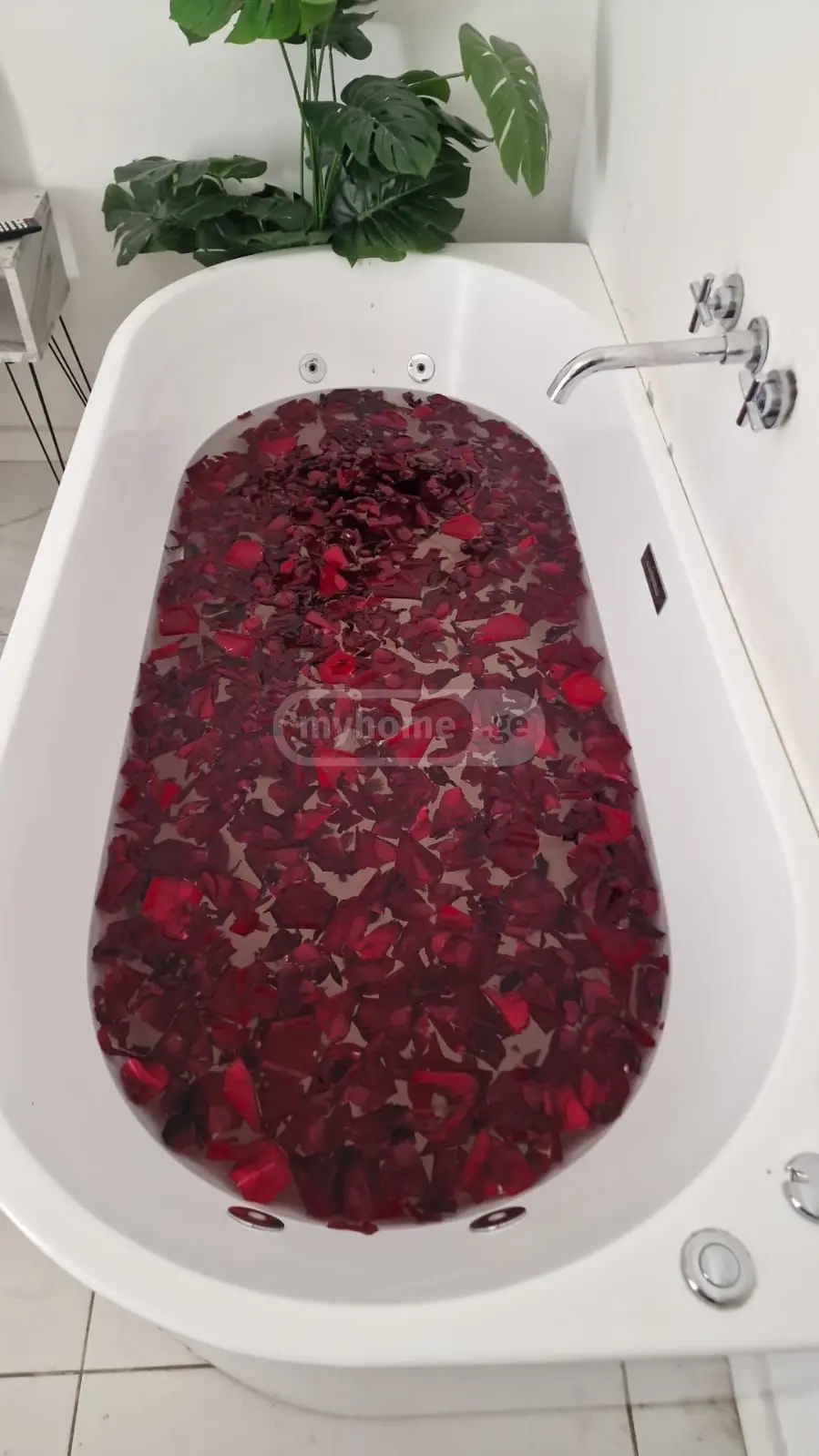 1 Room Apartment Daily Rent In Ortachala view 2