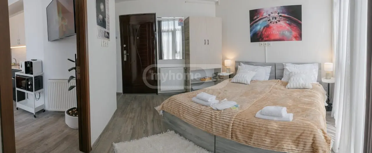 2 Room Apartment Daily Rent In Chugureti view 5
