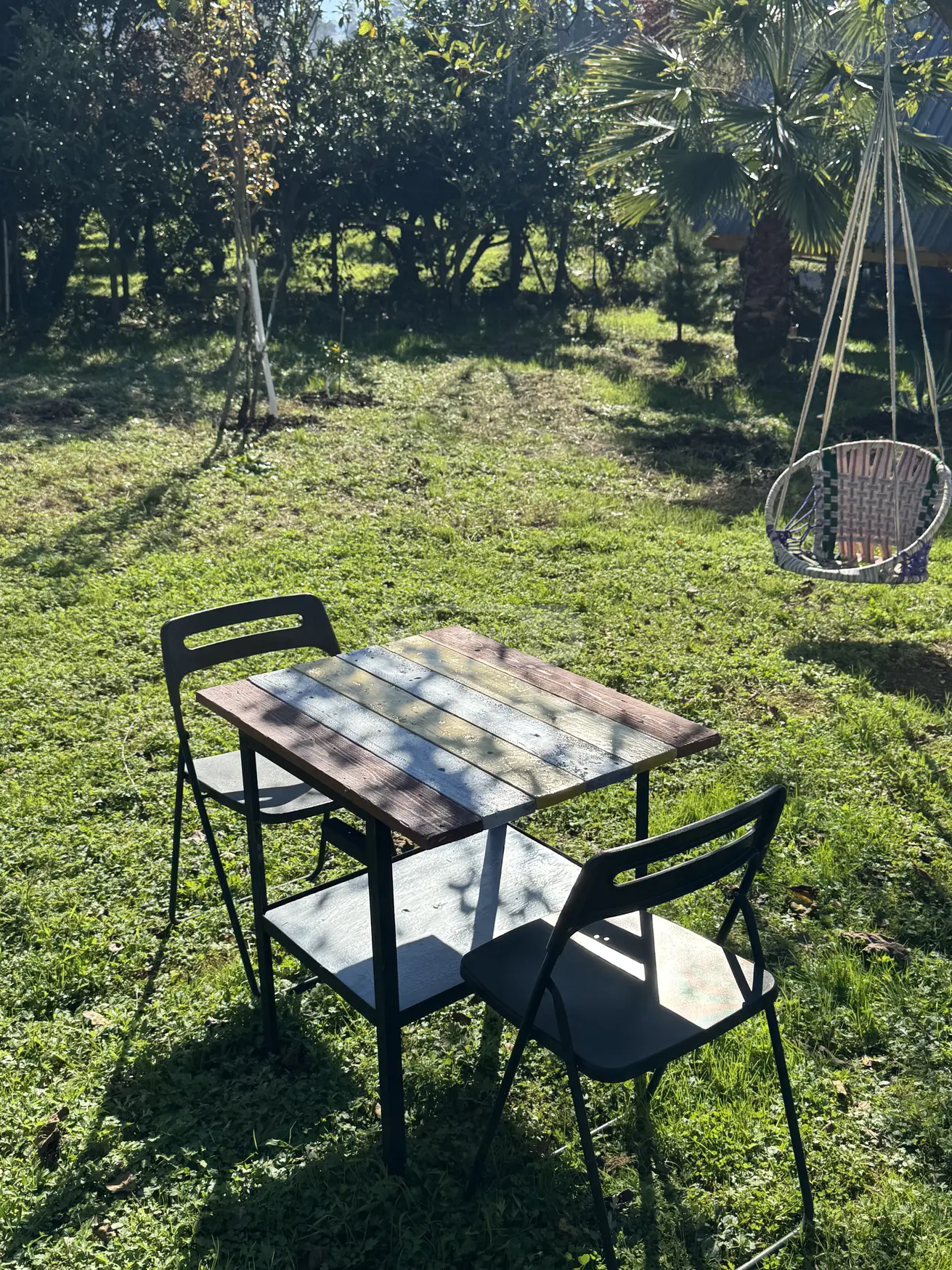 4 Room Country House Daily Rent In Makhinjauri, In Batumi view 10