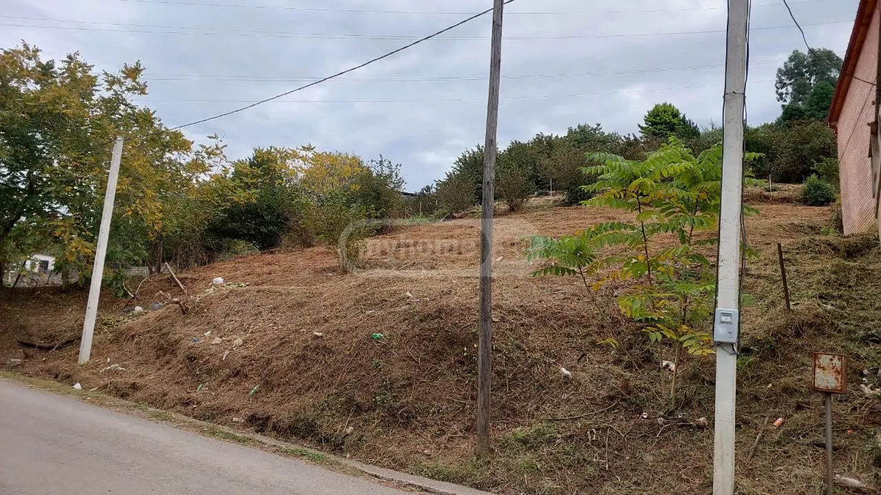 Agricultural Plot For Sale In Batumi view 2