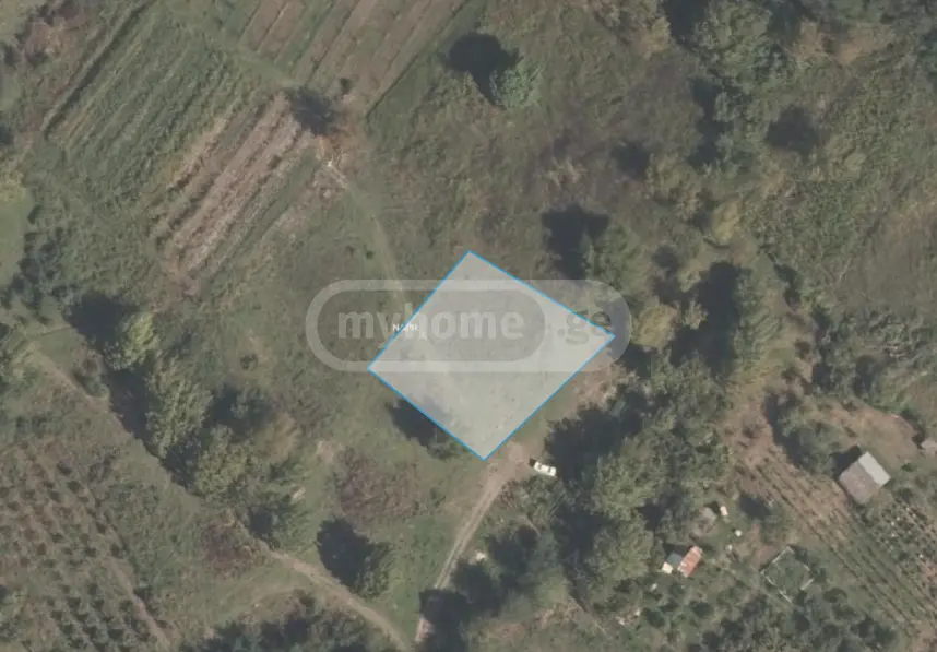 იყიდება Agricultural Plot In Lagodekhiში view 1