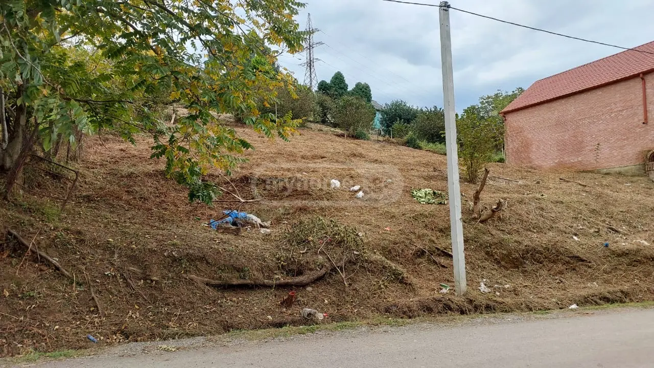 Agricultural Plot For Sale In Batumi view 3