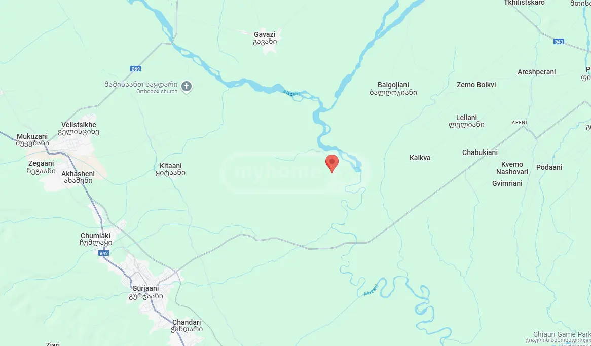 Продажа Agricultural Plot в In Gurjaani (Village), In Gurjaani view 4