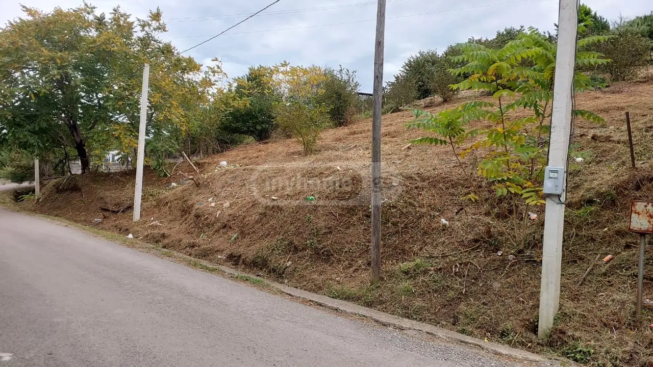 Agricultural Plot For Sale In Batumi view 4
