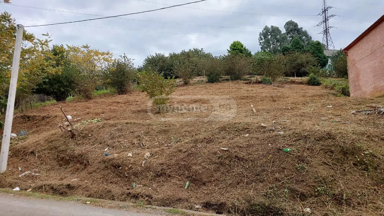 Agricultural Plot For Sale In Batumi view 6