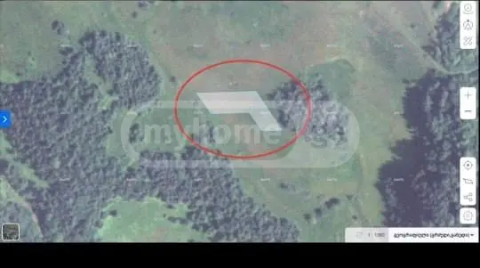 იყიდება Non-Agricultural Plot In Gudauriში view 2