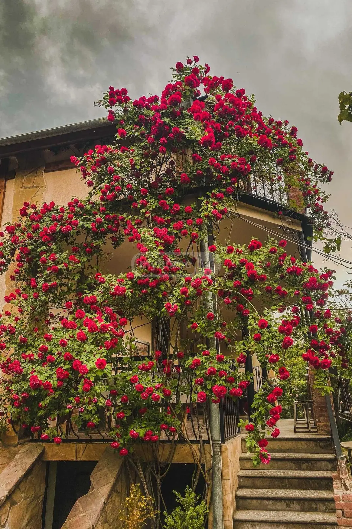 6 Room Country House For Rent In Mtskheta view 3
