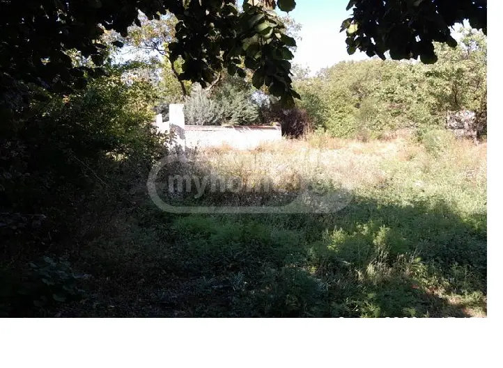 Agricultural Plot For Sale In Saguramo, In Mtskheta Municipality view 1