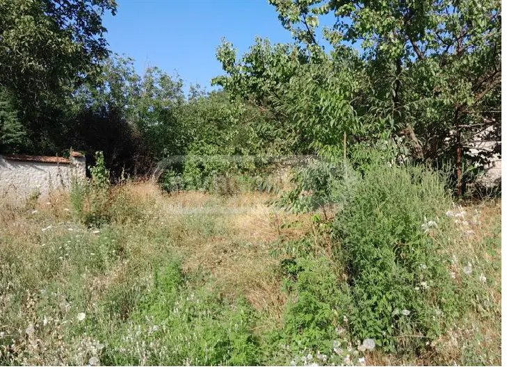 Agricultural Plot For Sale In Saguramo, In Mtskheta Municipality view 2