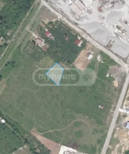 იყიდება Agricultural Plot In Zugdidiში view 1