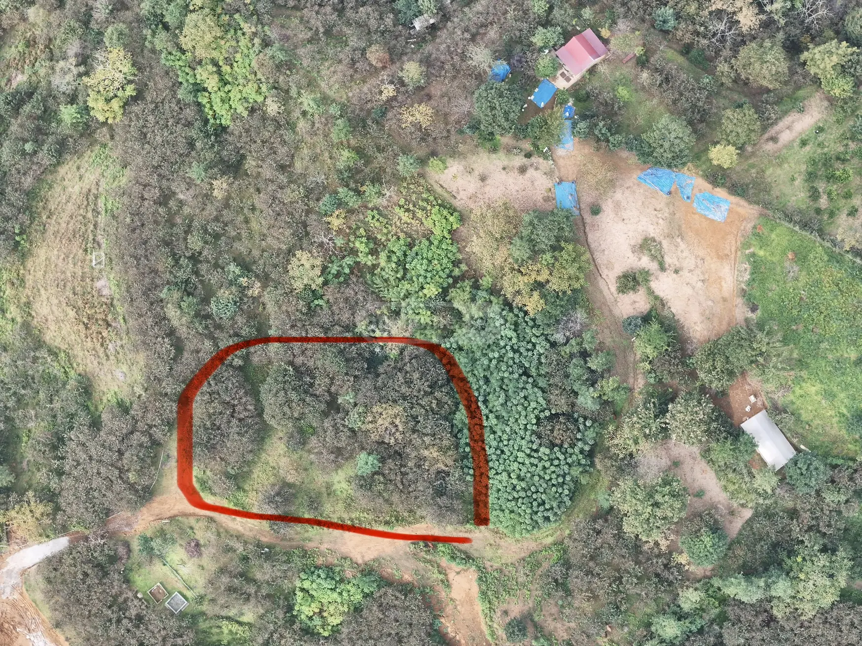 Agricultural Plot For Sale In Tsinsvla, In Khelvachauri Municipality view 6