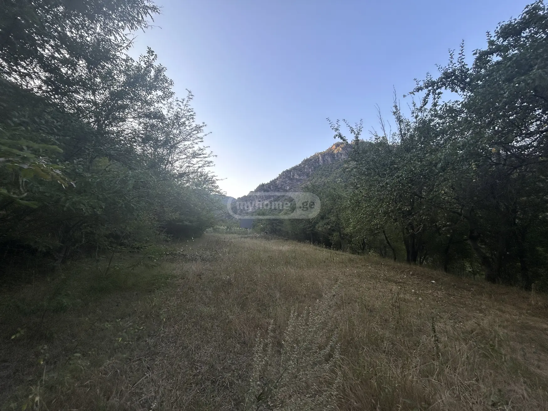 Agricultural Plot For Sale In Municipality Of Borjomi, In Borjomi Municipality view 3