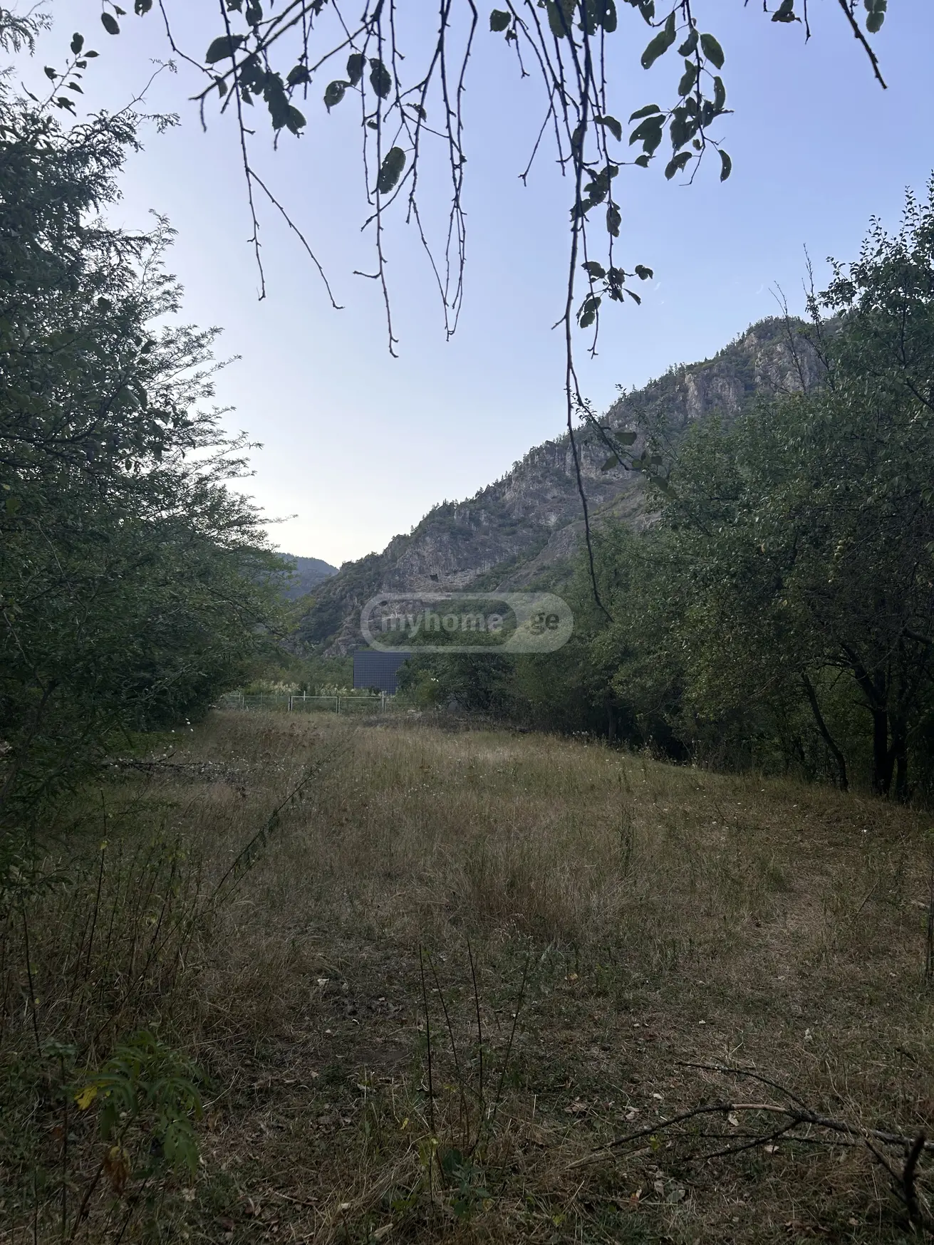 Agricultural Plot For Sale In Municipality Of Borjomi, In Borjomi Municipality view 5