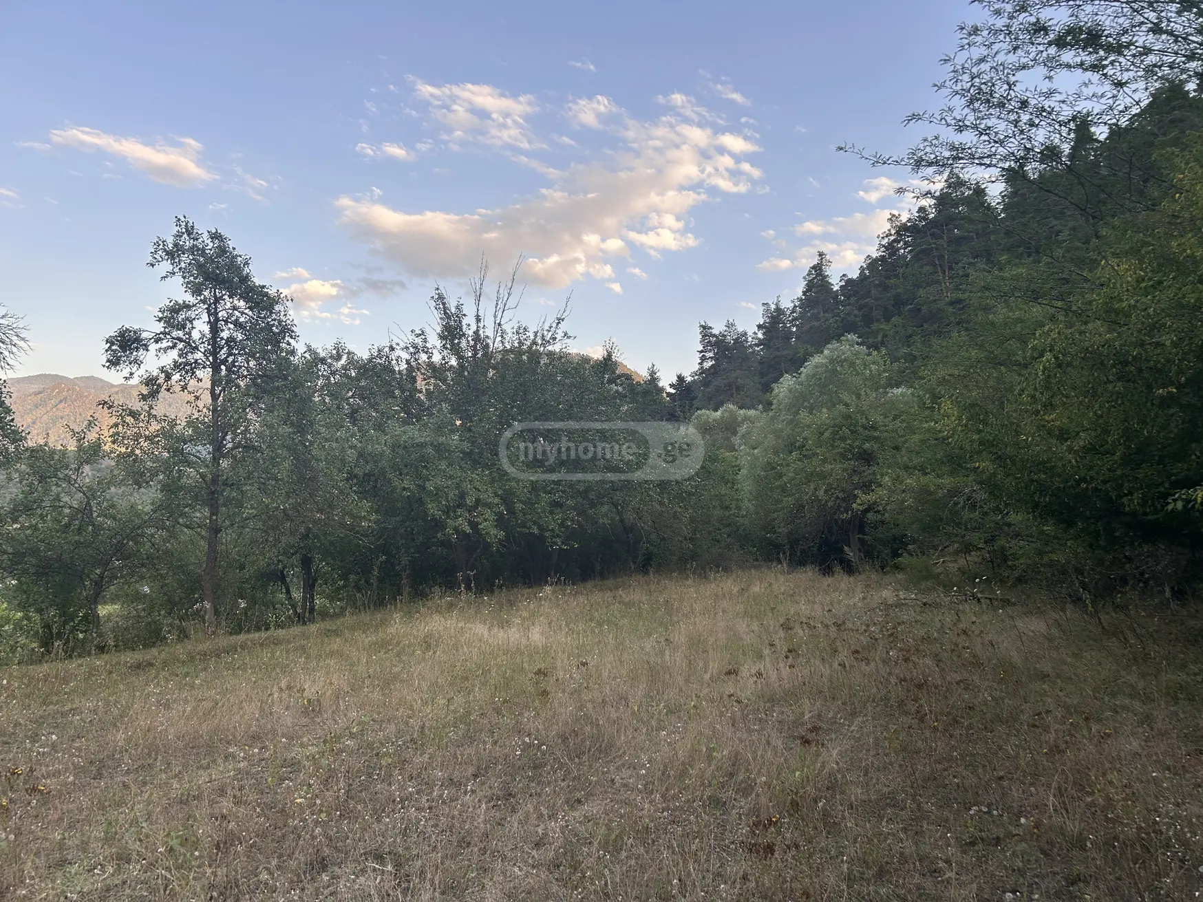 Agricultural Plot For Sale In Municipality Of Borjomi, In Borjomi Municipality view 8