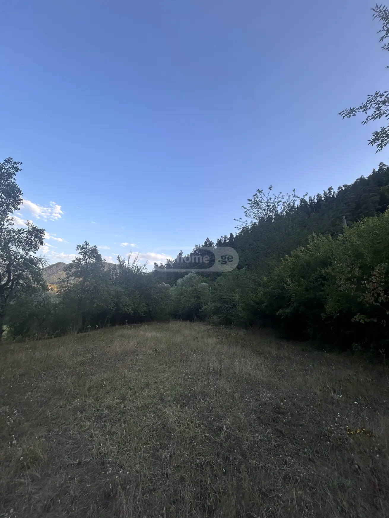 Agricultural Plot For Sale In Municipality Of Borjomi, In Borjomi Municipality view 7