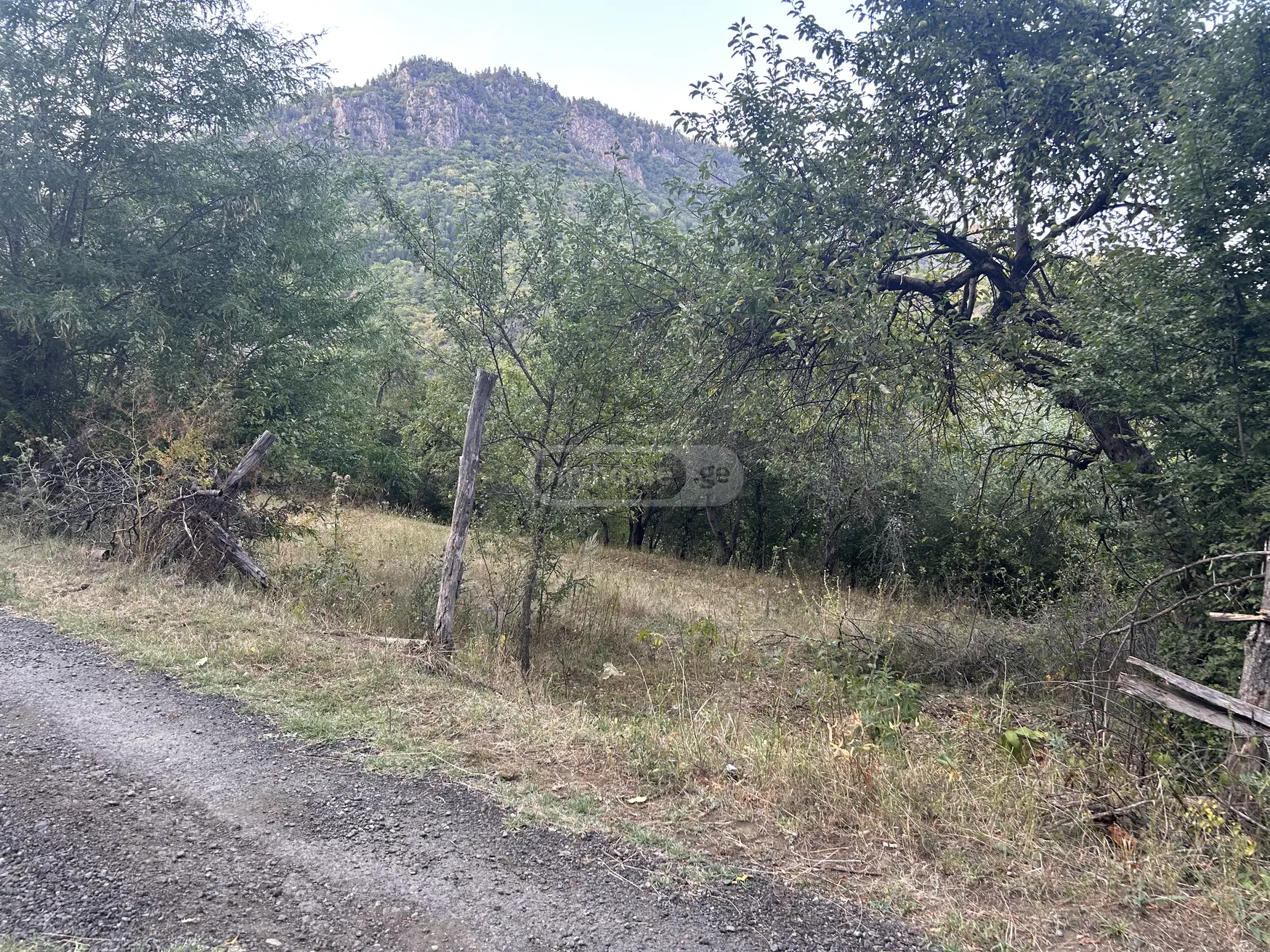 Agricultural Plot For Sale In Municipality Of Borjomi, In Borjomi Municipality view 9