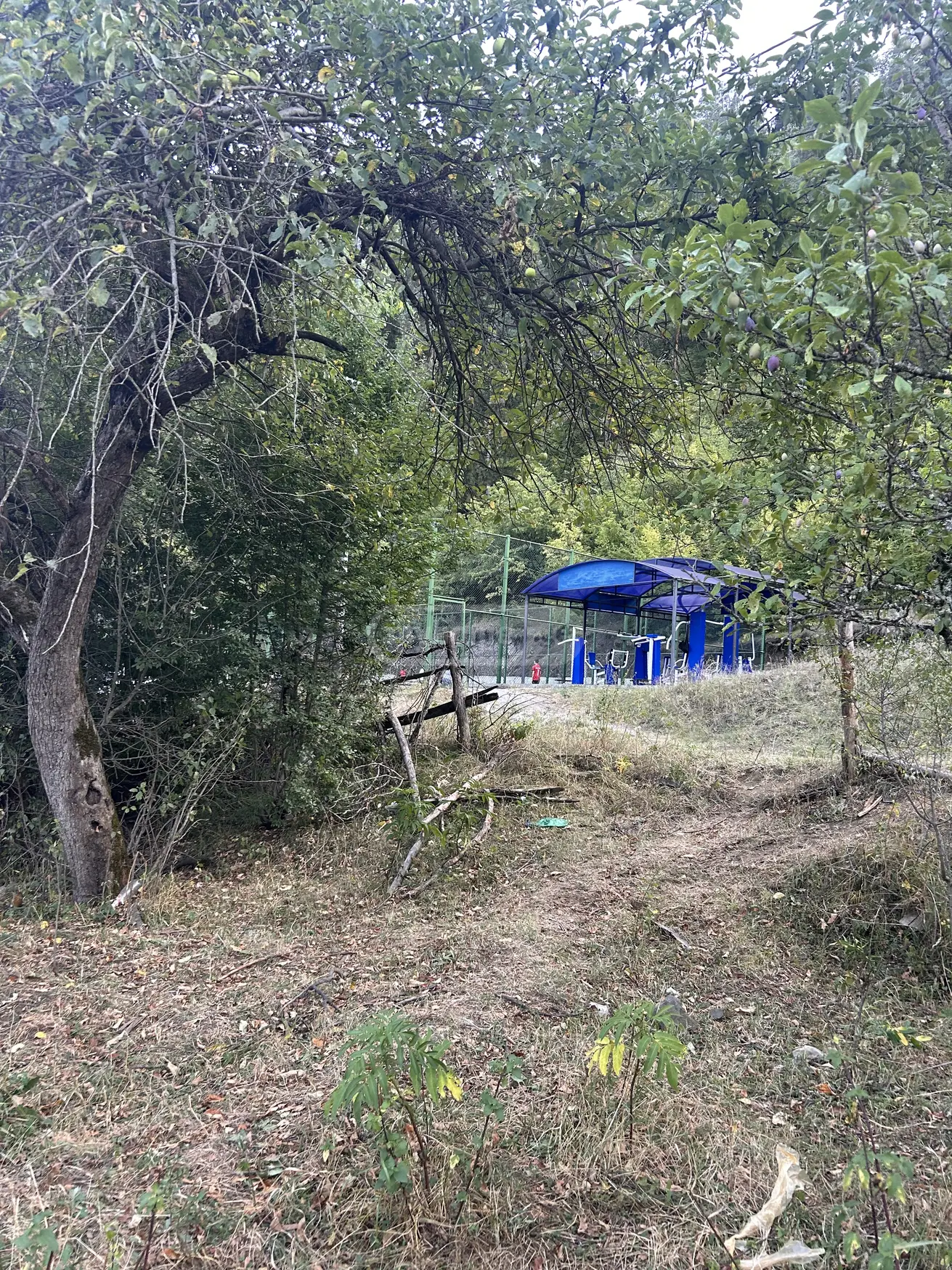 Agricultural Plot For Sale In Municipality Of Borjomi, In Borjomi Municipality view 10