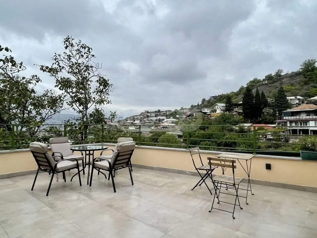 3 Room Private House Daily Rent In Nadzaladevi view 5