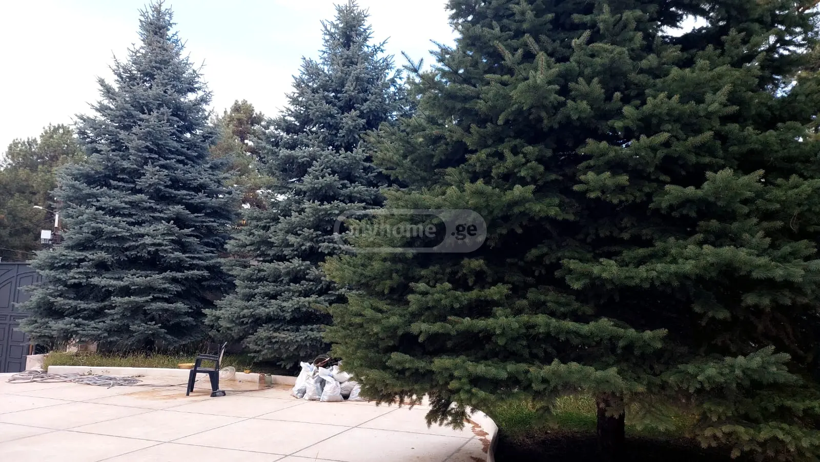 Full Building Commercial Area For Rent In Tskneti view 6