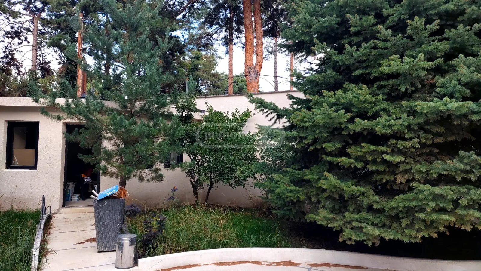 Full Building Commercial Area For Rent In Tskneti view 9