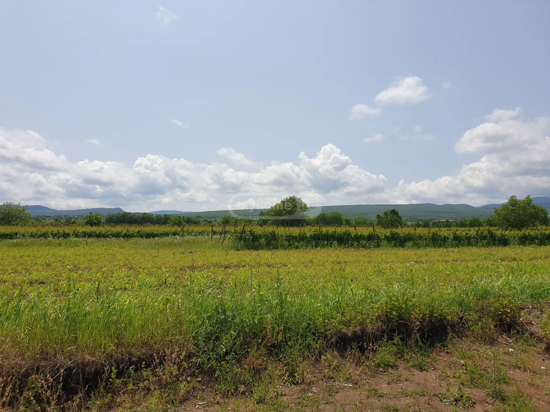 3 Room Country House For Sale view 8