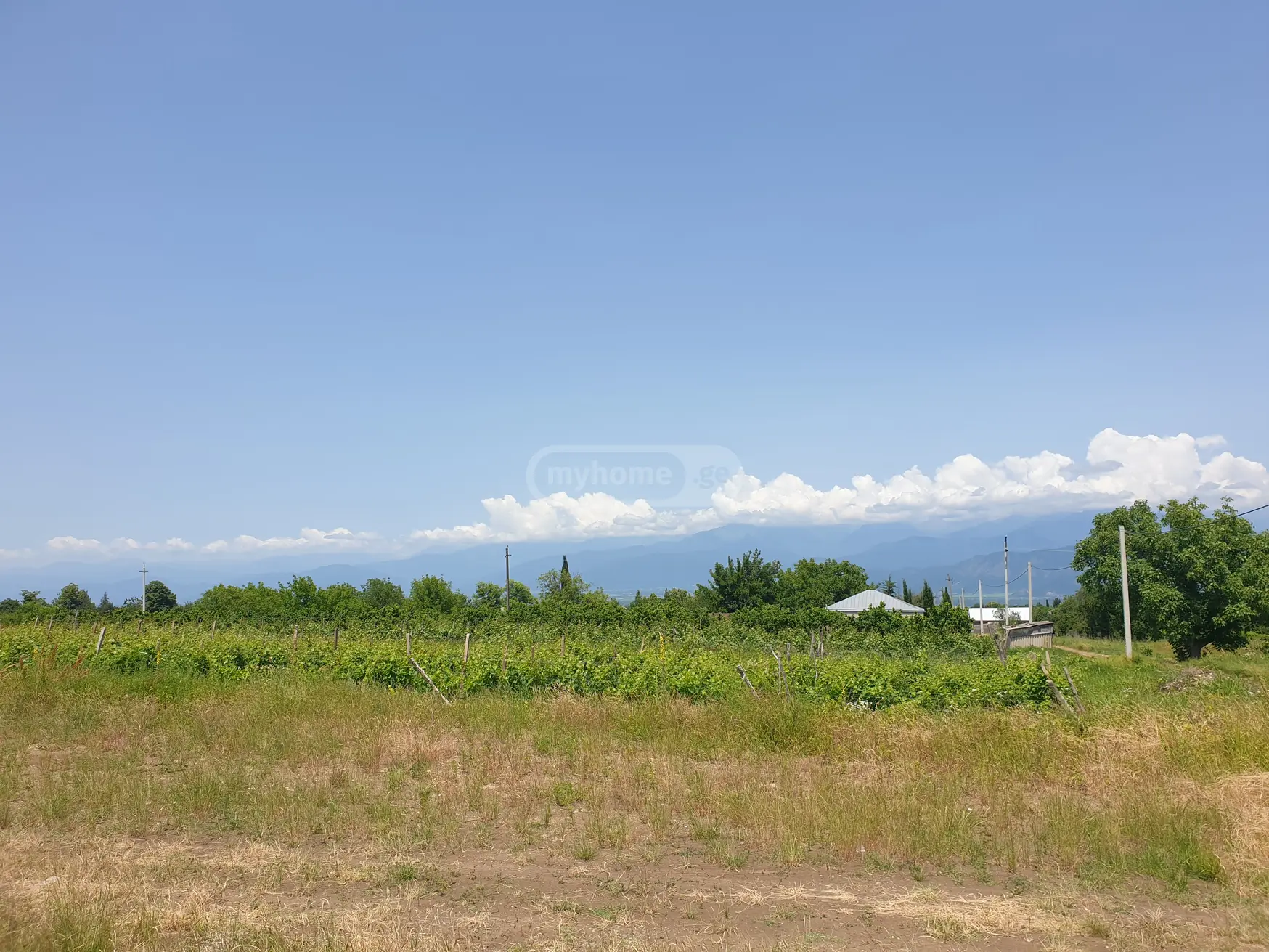 3 Room Country House For Sale view 7