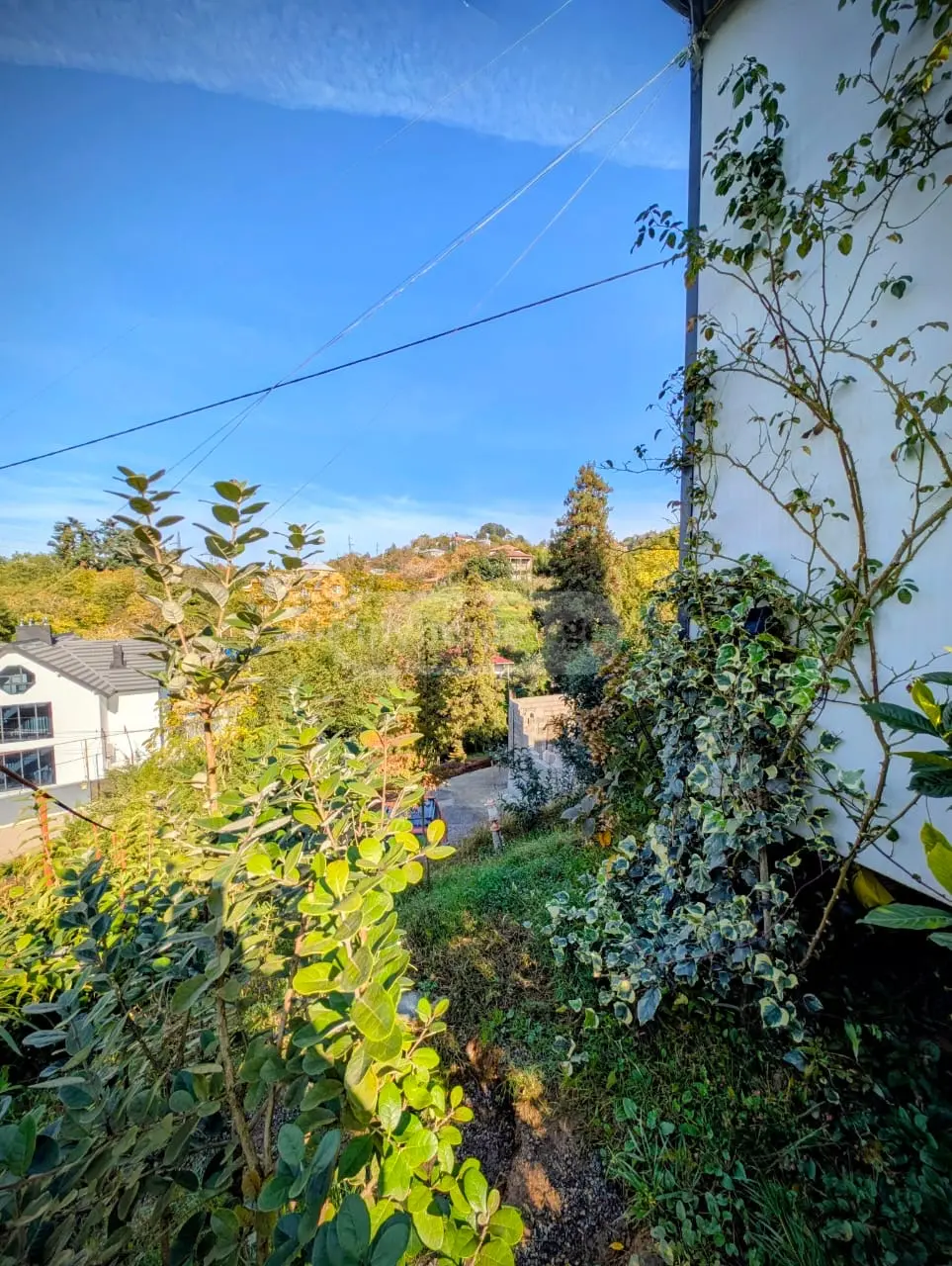 2 Room Country House For Sale view 14