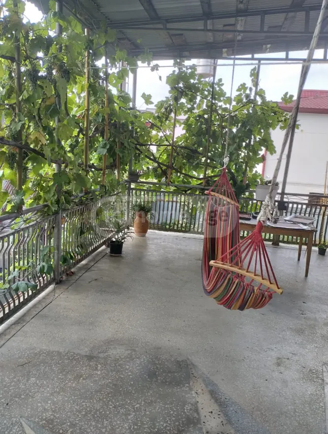 Продажа 10+ Room Private House в In Zugdidi view 12