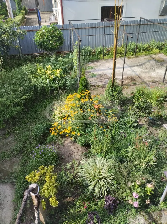 Продажа 10+ Room Private House в In Zugdidi view 11