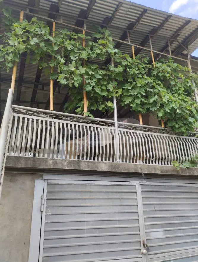 Продажа 10+ Room Private House в In Zugdidi view 7
