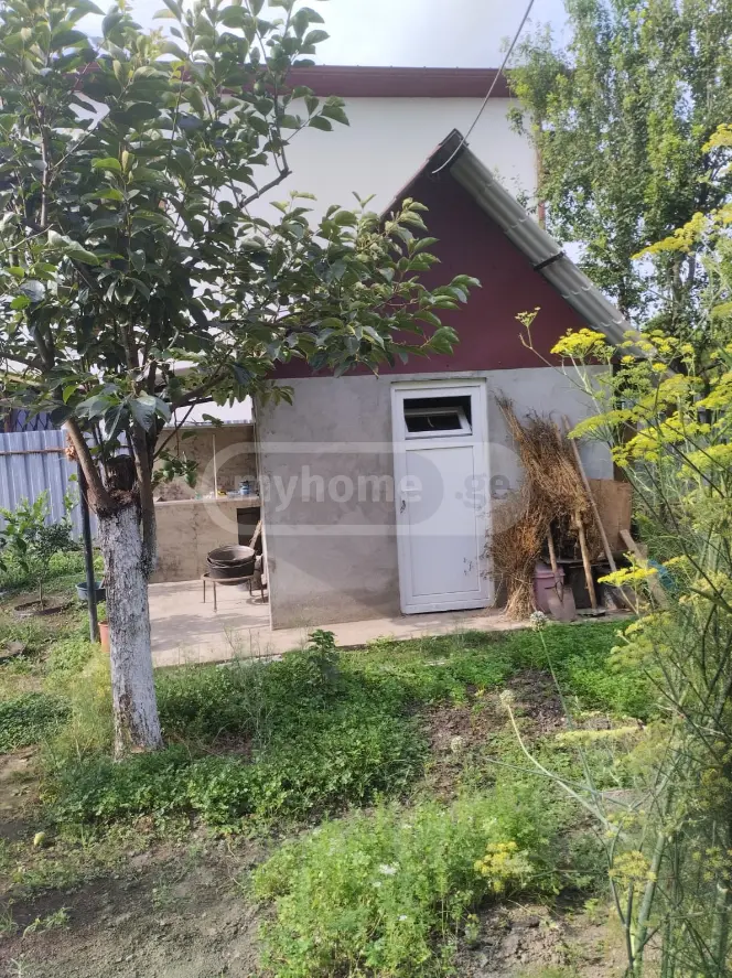 Продажа 10+ Room Private House в In Zugdidi view 5