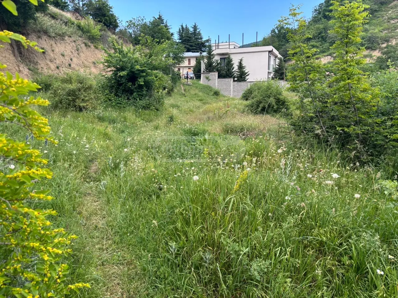 Agricultural Plot For Sale In Tskneti view 2
