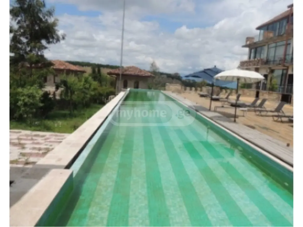 10+ Room Hotel For Sale In Telavi view 6