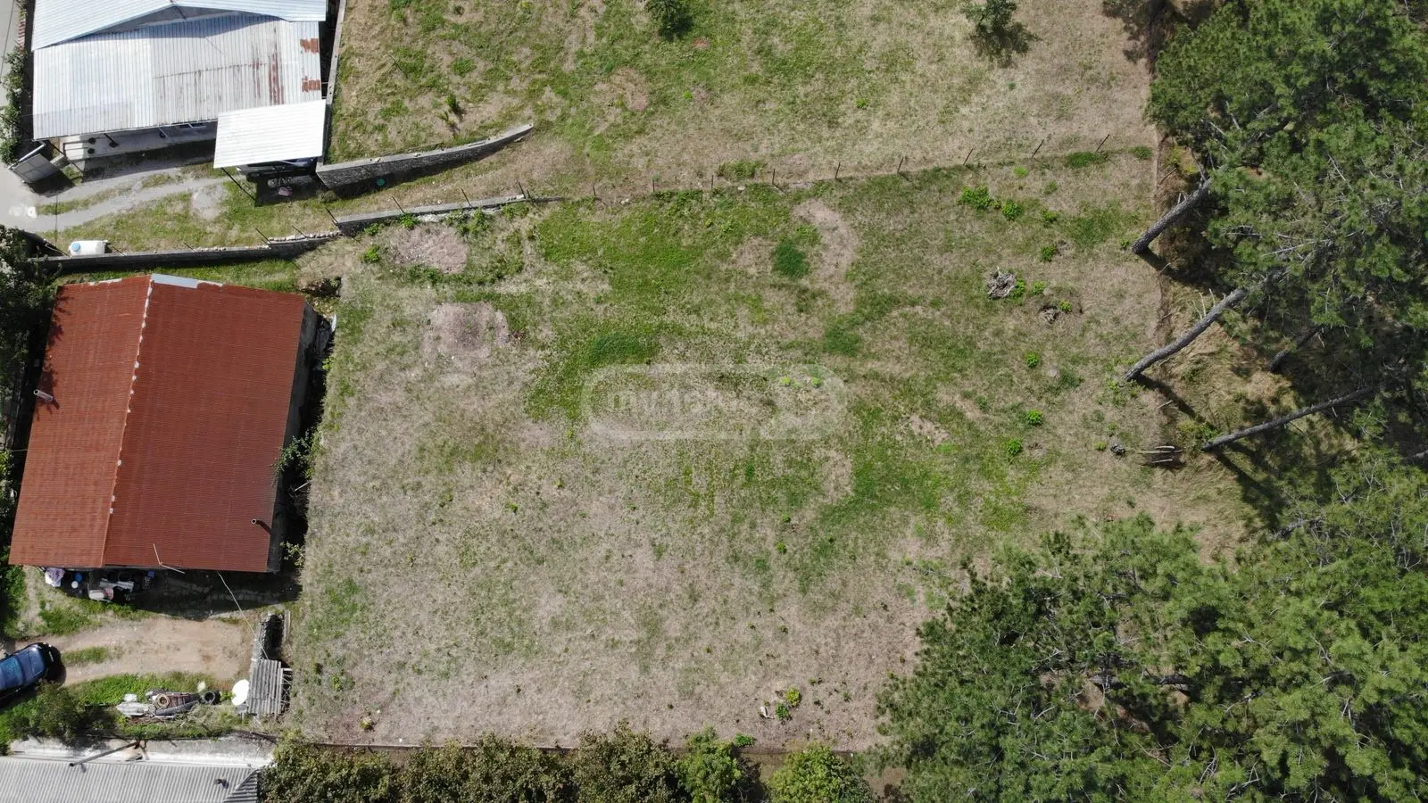 Investment / For Construction Plot For Sale In Telavi view 9