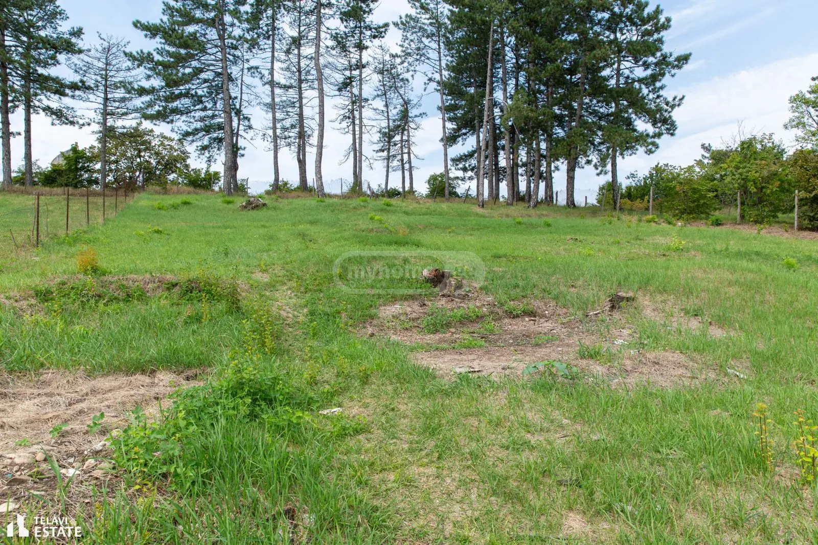 Investment / For Construction Plot For Sale In Telavi view 2