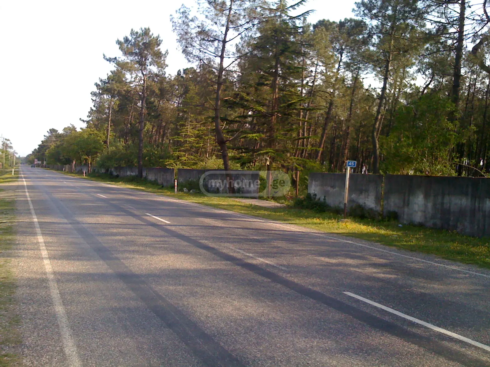 Agricultural Plot For Sale In Grigoleti, In Lanchkhuti Municipality view 2