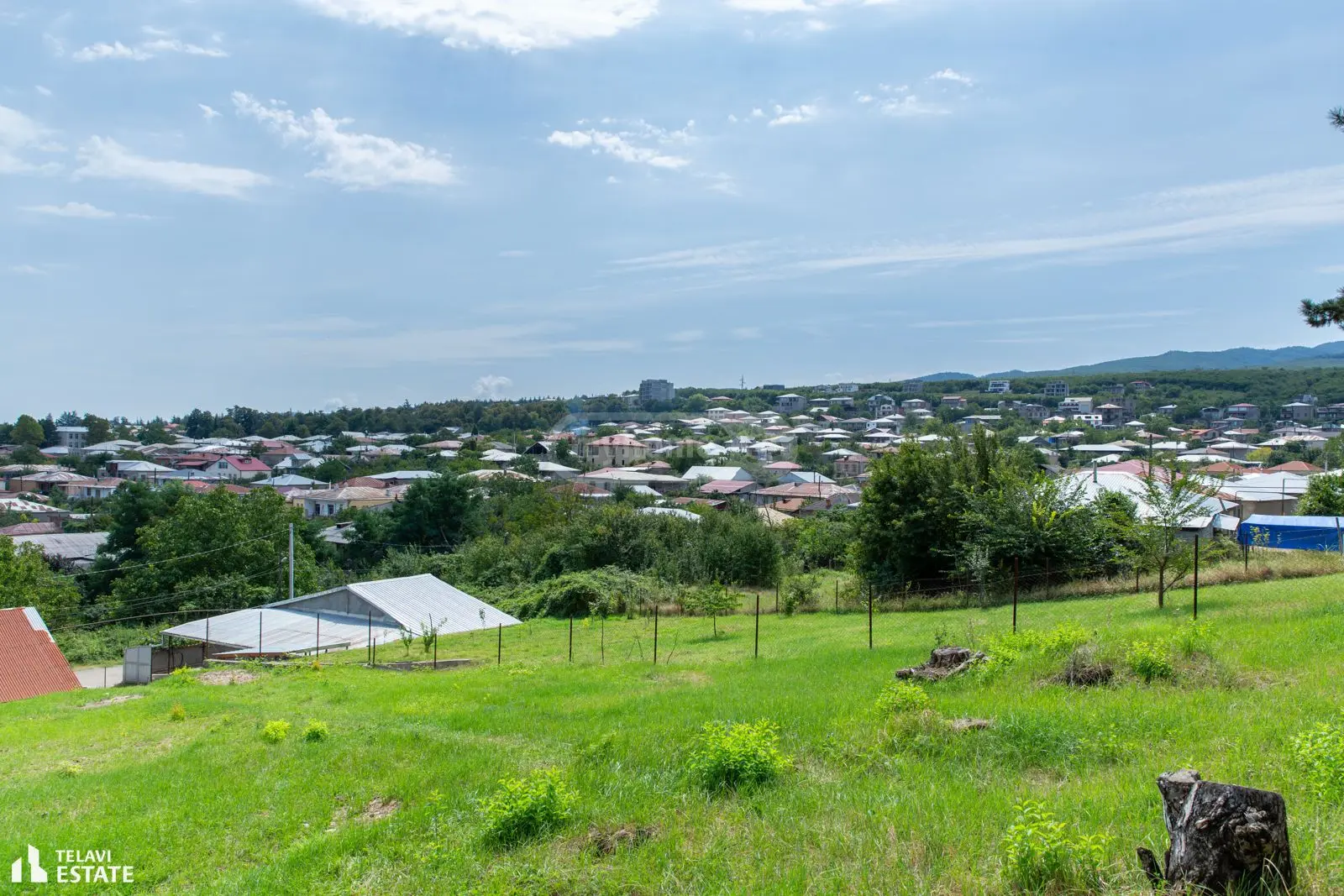 Investment / For Construction Plot For Sale In Telavi view 1