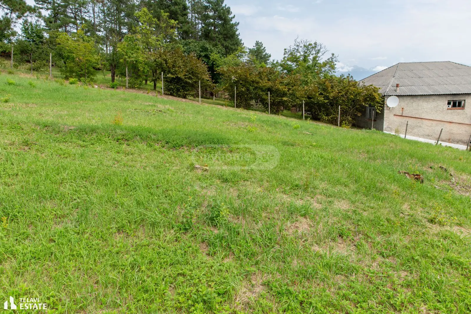 Investment / For Construction Plot For Sale In Telavi view 11