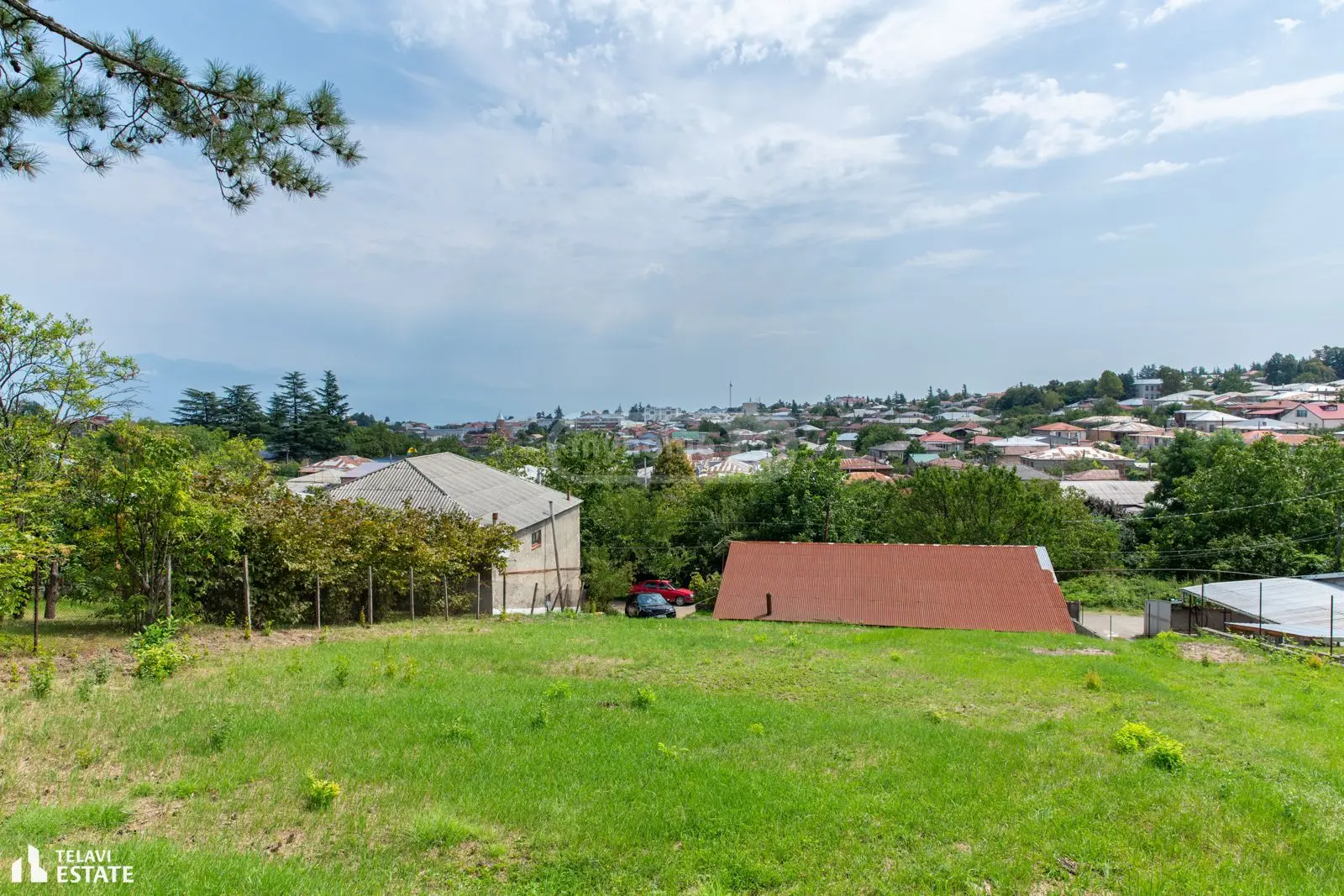 Investment / For Construction Plot For Sale In Telavi view 4