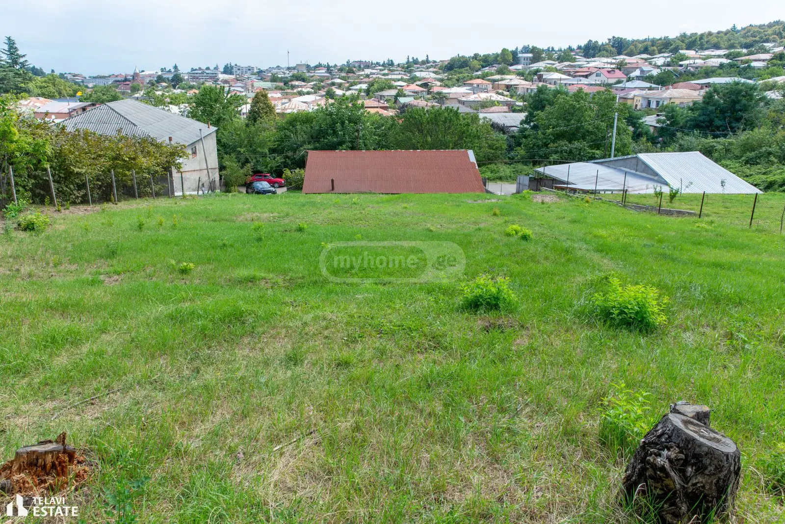 Investment / For Construction Plot For Sale In Telavi view 10